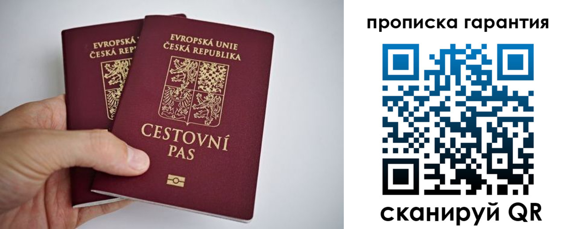 прописка в Рославле